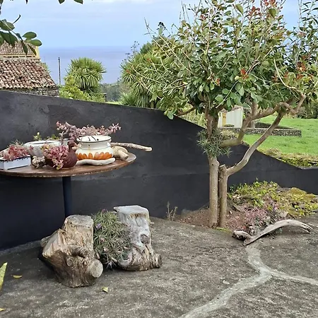 Near The Clouds - Refugio Nordeste (Azores)