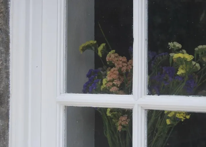 Near The Clouds - Refugio Nordeste (Azores)