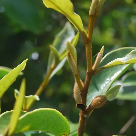 Hébergement de vacances Near The Clouds - Refugio