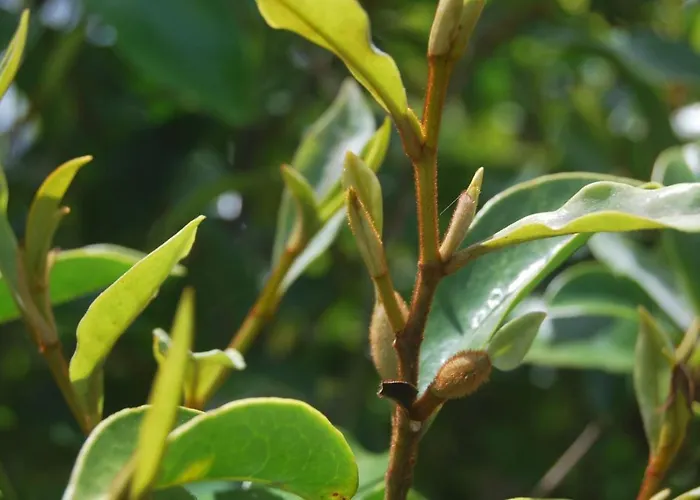 Hébergement de vacances Near The Clouds - Refugio
